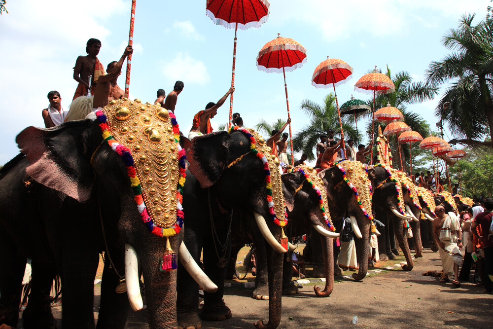 image India festivales celebraciones Thrissur Pooram