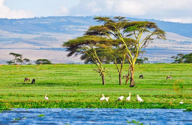 Travelling to Kenya? These are the Top Places to visit in Kenya – Thomas Cook India Travel Blog