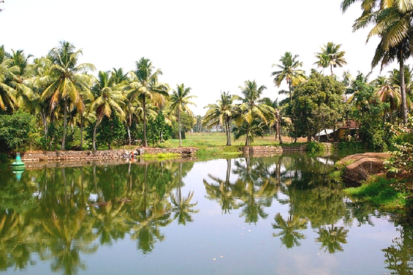 Detox at the Backwaters of Alleppey