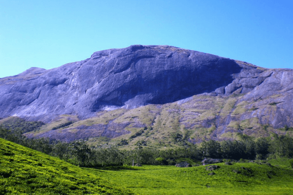 Explore the Anamudi Peak inside Eravikulam National Park