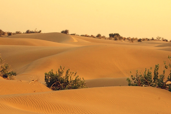 The Remote Thar Desert