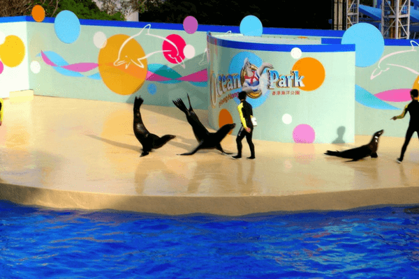 Enjoy The Thrills Of Ocean Park In Hong Kong