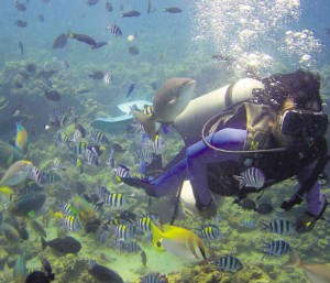 Best Diving Destinations