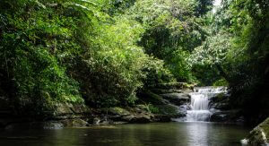 Mawlynnong - The Cleanest Village in Asia