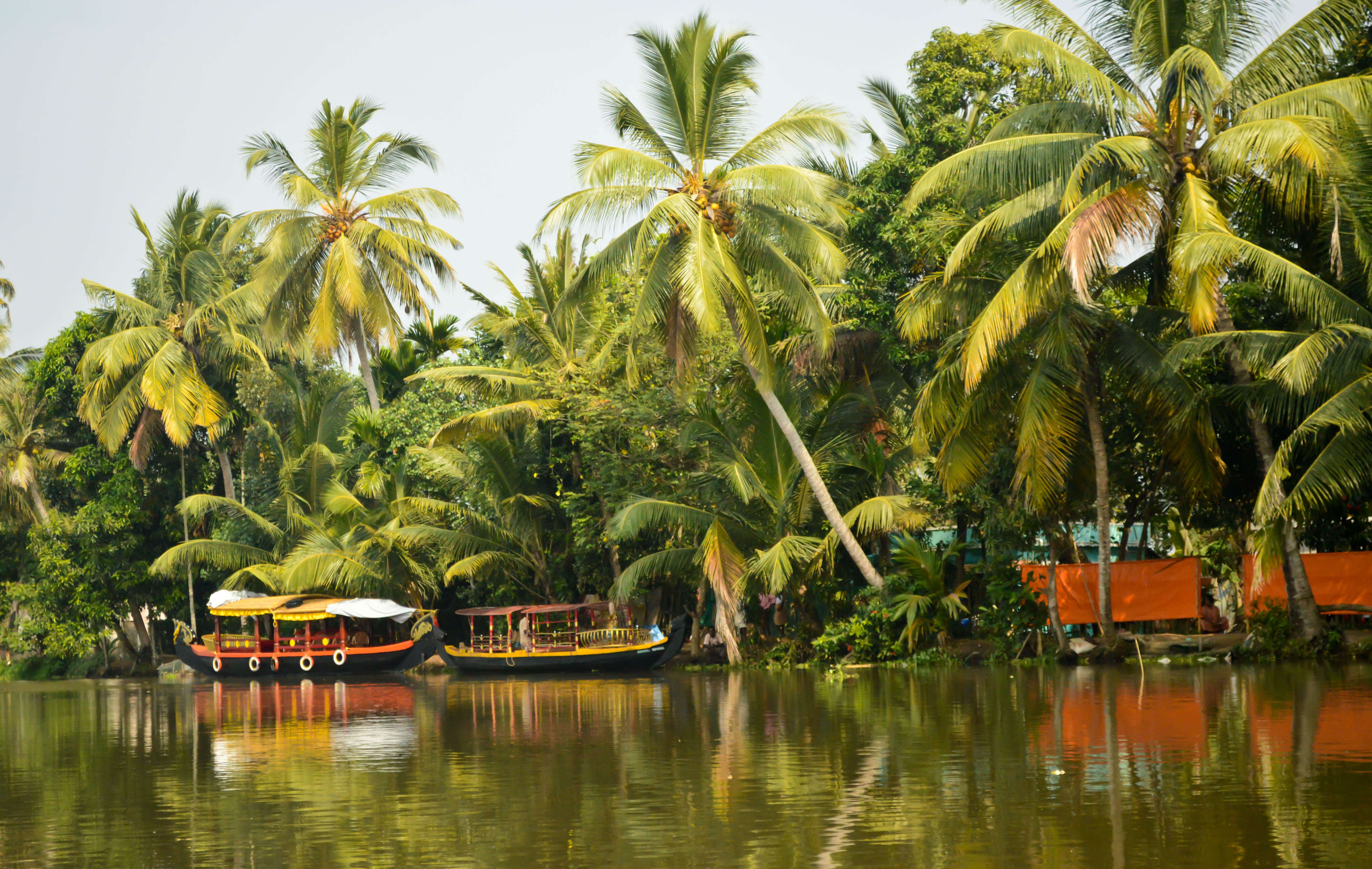 The Backwaters of Kerala for Honeymooners | Backwater Honeymoon in ...