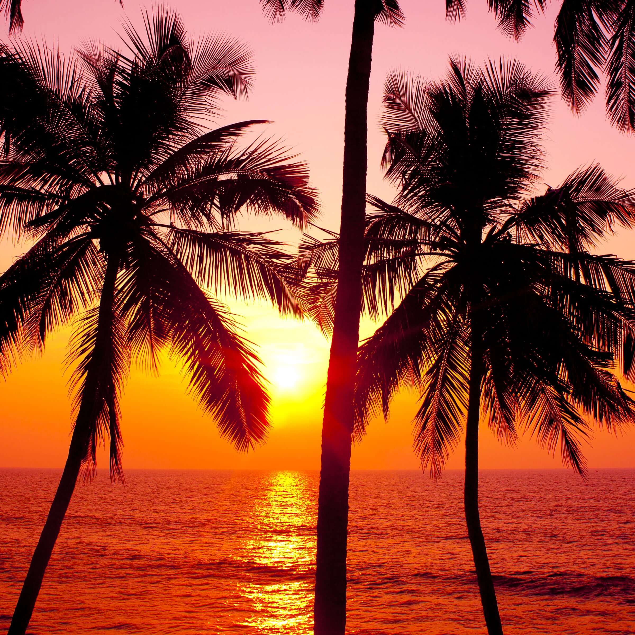 Sea, Sand and Sun Beckon You to Goa - Thomas Cook India