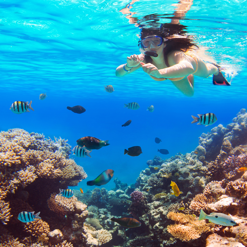 Seduction Point - Places for Scuba Diving in Andaman