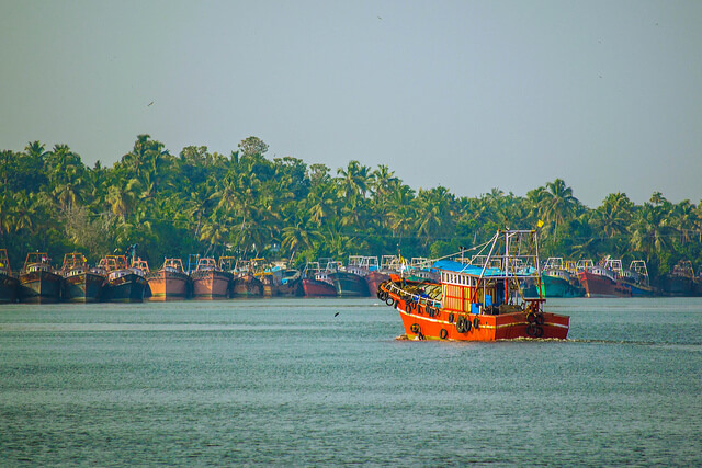 Make Your Way To The Exotic Kerala Backwaters - Thomas Cook India