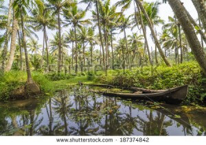 Kerala backwaters scenery with palm trees and sunken canoe