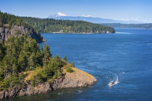 Experience The Thrill Of Washington On Waters