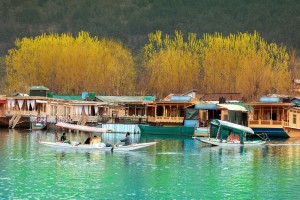 Dal Lake - Kashmir