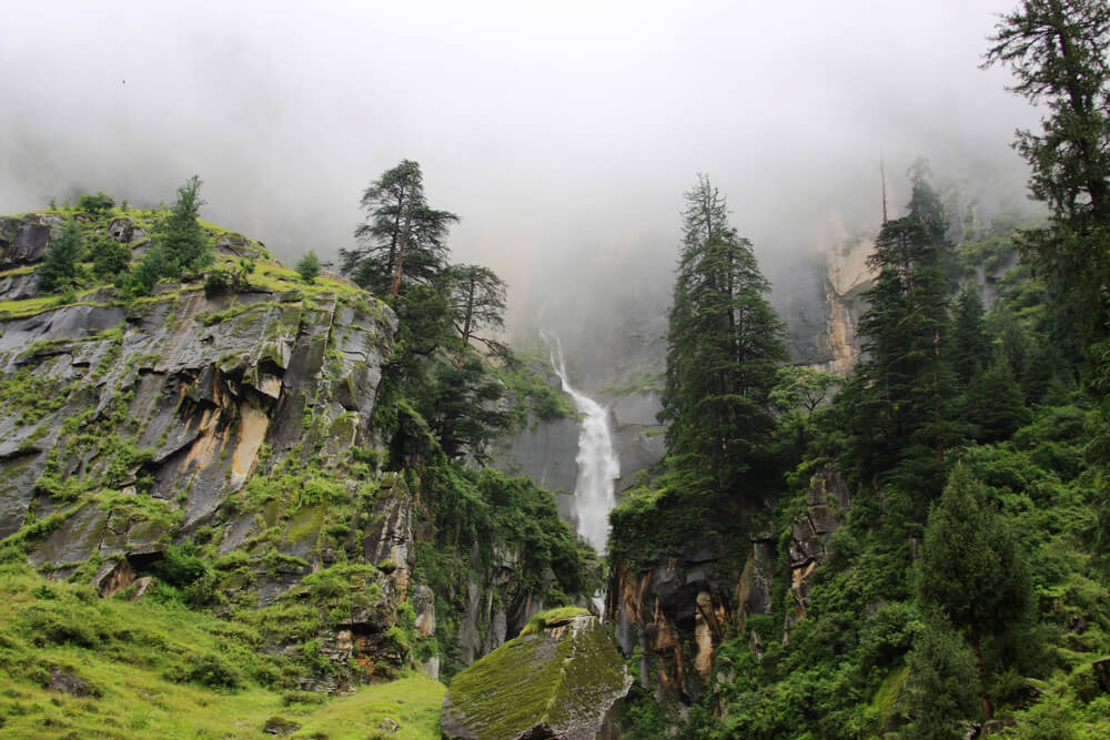 Waterfall in a Manali surrounded by green trees