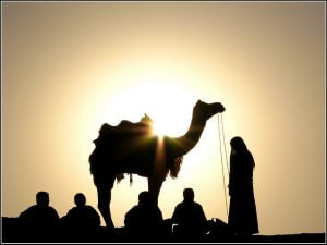 Enjoy Exotic Camel Safari in Rajasthan - Thomas Cook India Travel Blog