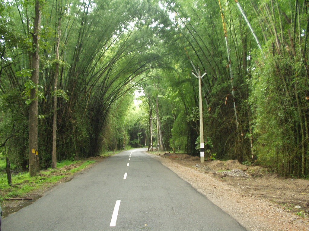 Wayanad, Kerala