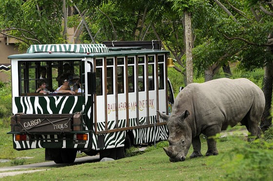 Bali Safari & Marine Park