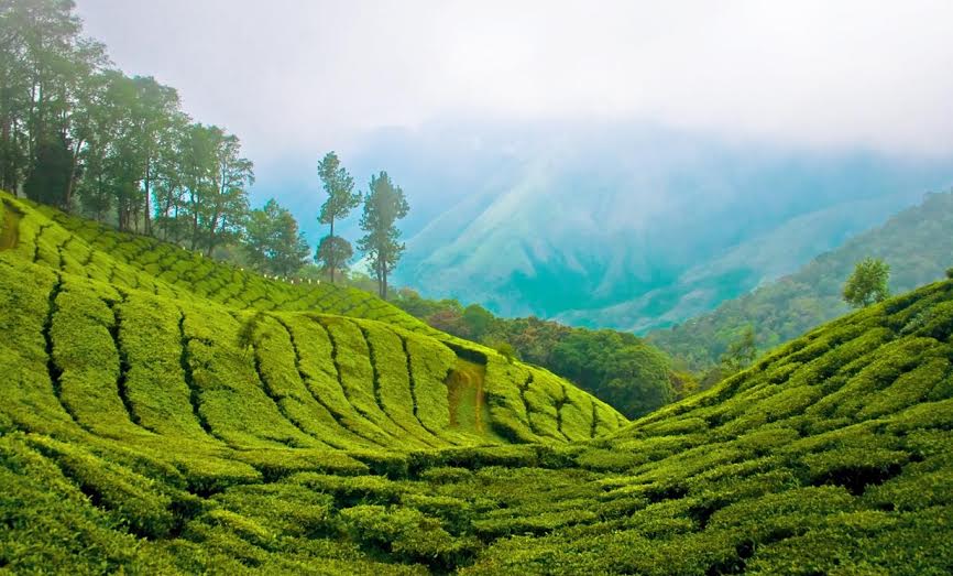 Why is Kerala A Must Visit Destination For Every Tourist? - Thomas Cook