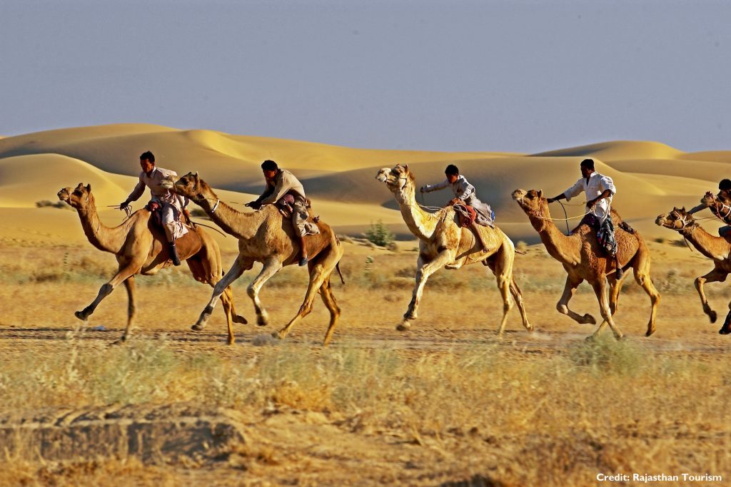 Rajasthan Camel Ride