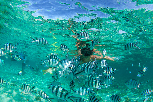 Snorkelling - Mauritius