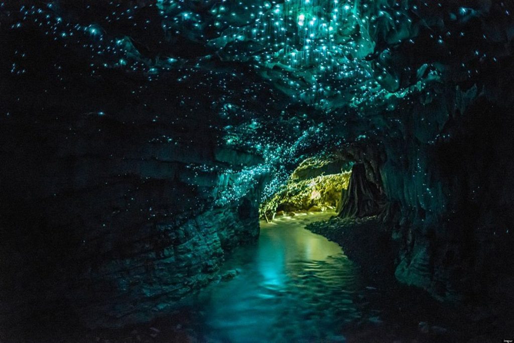 Glow worm Caves - New Zealand