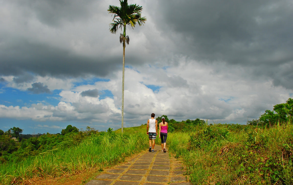 Campuhan Ridge Walk - Bali