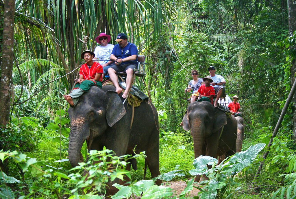 Phuket Elephant Ride