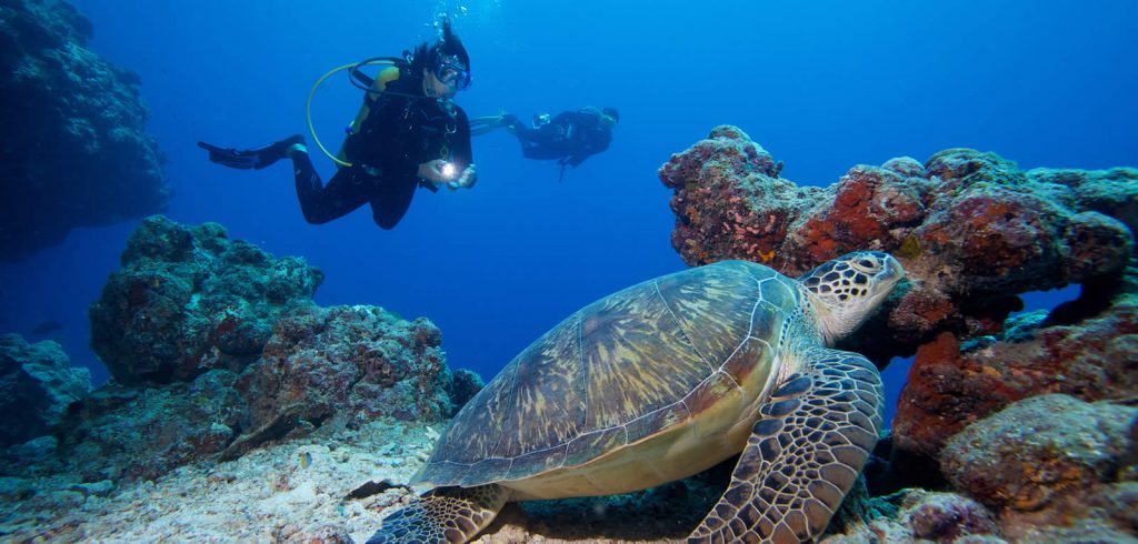 scuba diving trip to Maldives