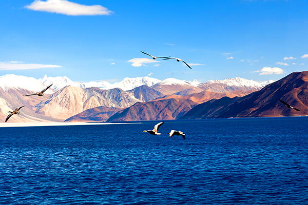 Pangong lake - Ladakh