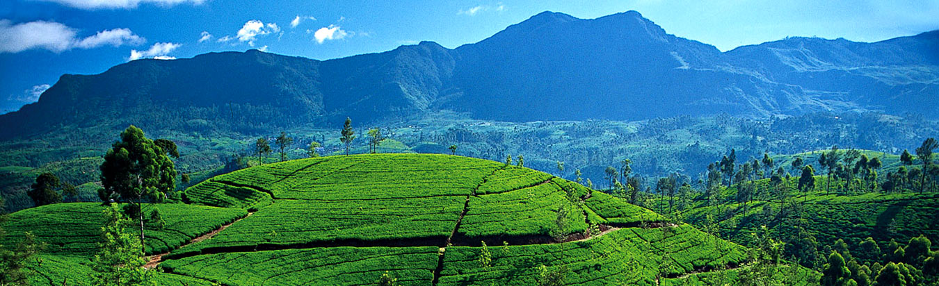 Preparing for Sri Lanka with 8 Simple Tips - Thomas Cook India Travel Blog