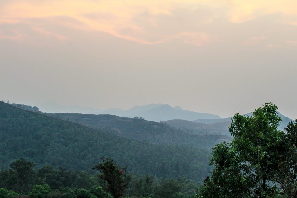 View from Rose Garden, Chikmagalur