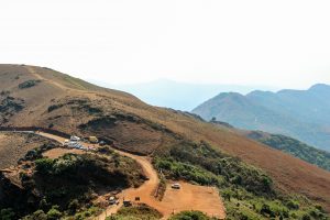 Coffee Plantation - Chikmagalur