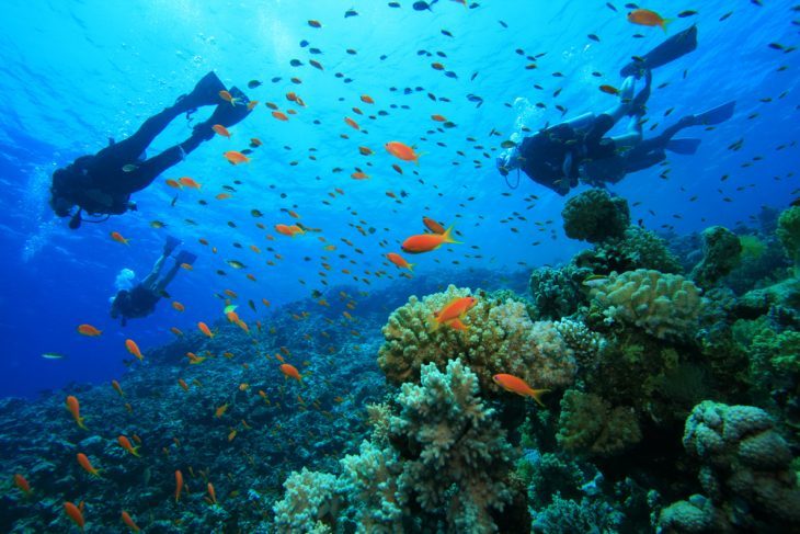 Scuba Diving - Thailand