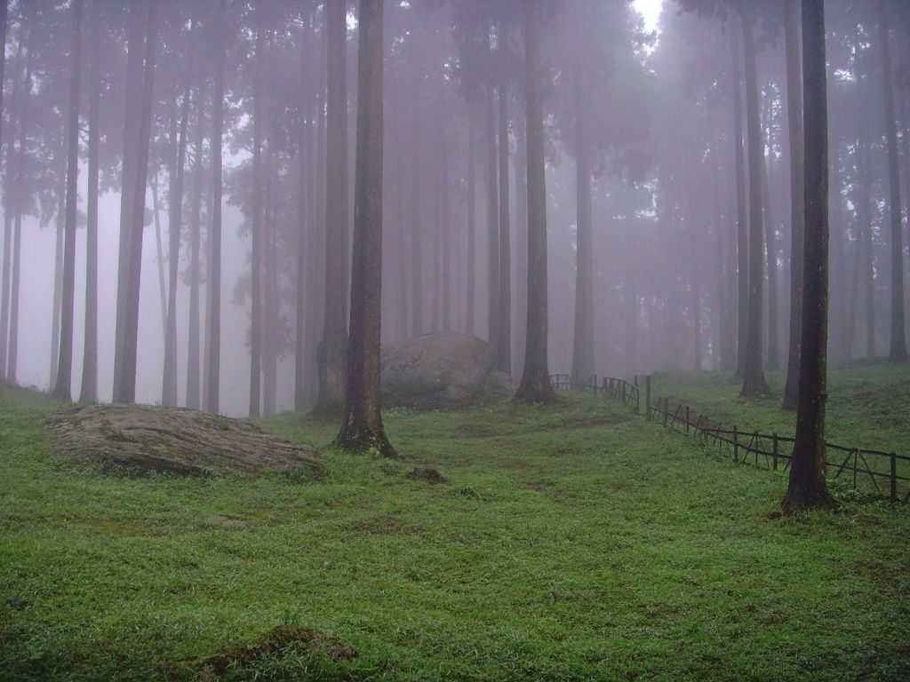 Lamahatta - Trip to Darjeeling