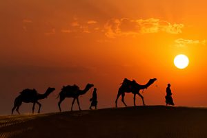 The Land of Maharajas: 8 Places to Visit in Rajasthan - Thomas Cook Blog