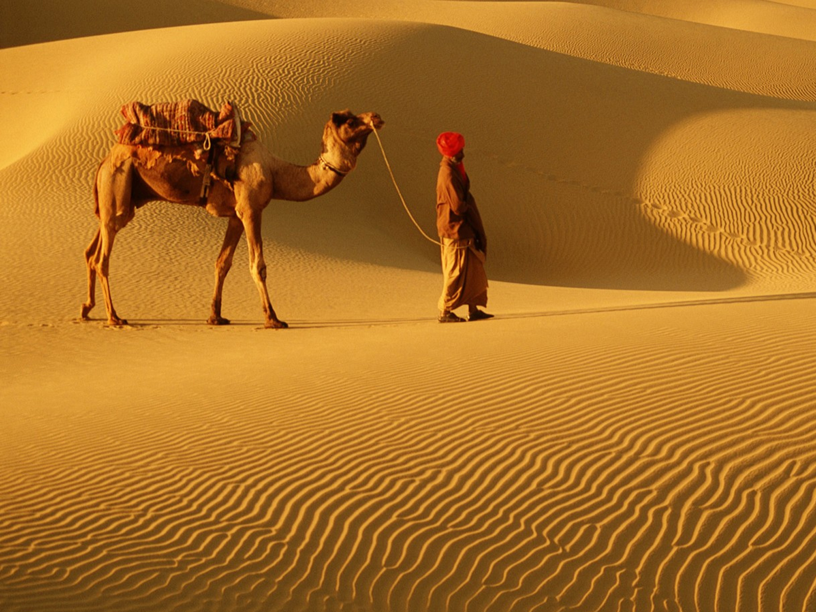 Experience Rajasthan: 8 Events You Cannot Afford To Miss in Rajasthan