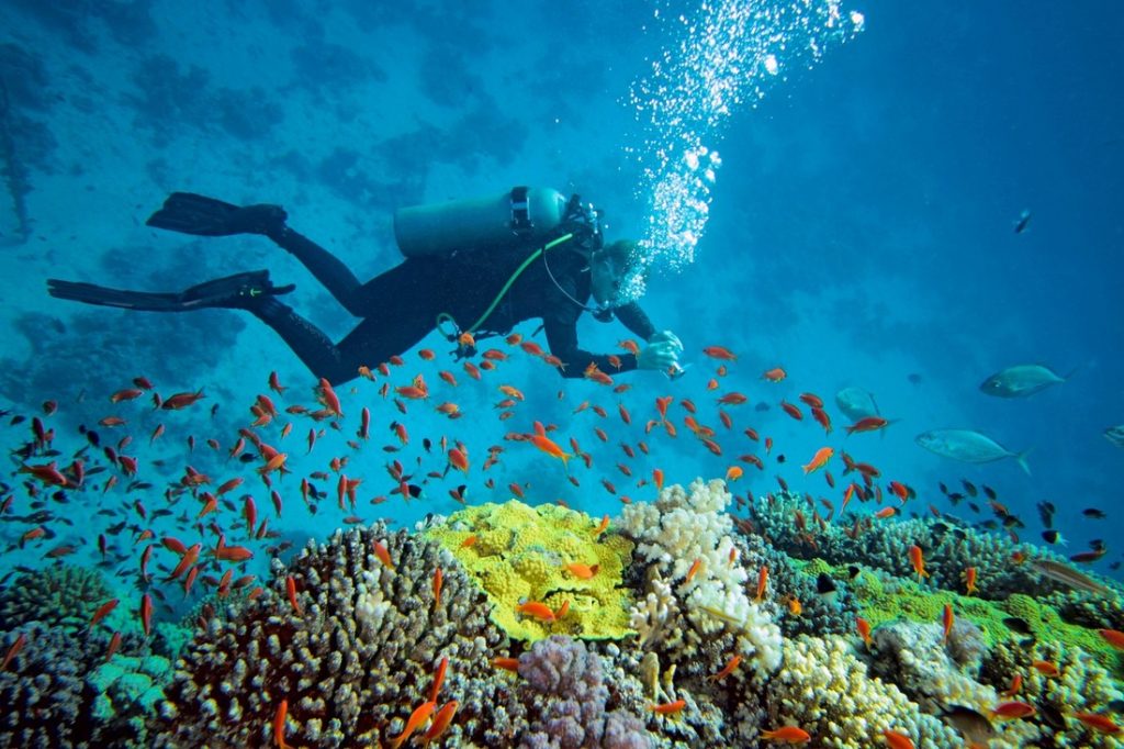 Snorkel at Havelock Island