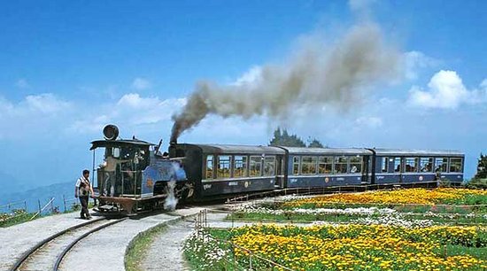 Toy train and cable car ride, Darjeeling - Summer Vacation