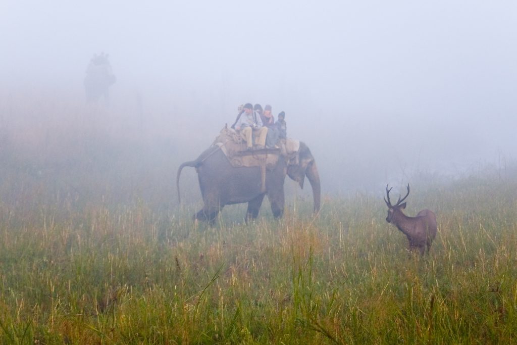 Ranikhet, Uttarakhand