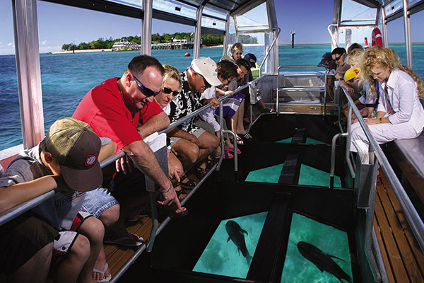 Dolphin Glass Boat Ride, Port Blair