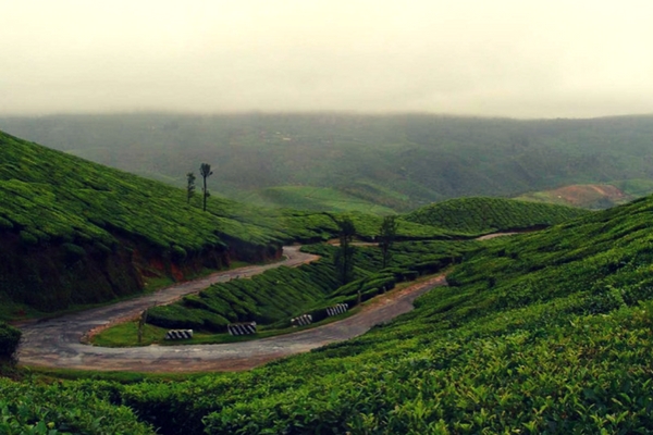 Painavu, Hill stations in kerala