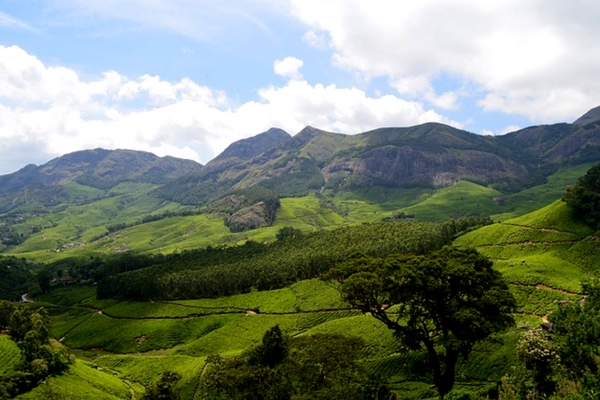 Munnar, Hill Stations in Kerala