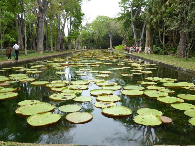 Pamplemousses Botanical Garden