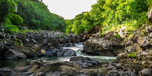Black River Gorges National Park, Places to visit in Mauritius