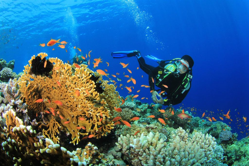 6 Best Places for Scuba Diving in Andaman