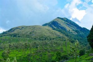 10 Best Places to Visit in Wayanad - Green Paradise of Kerala