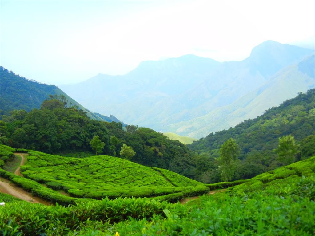 10 Best Places to Visit in Wayanad - Green Paradise of Kerala
