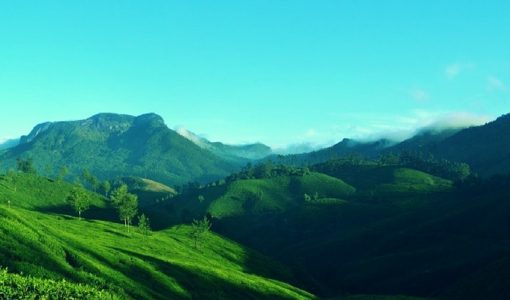 Top 10 Places to Visit in Thekkady - Thomas Cook India Travel Blog