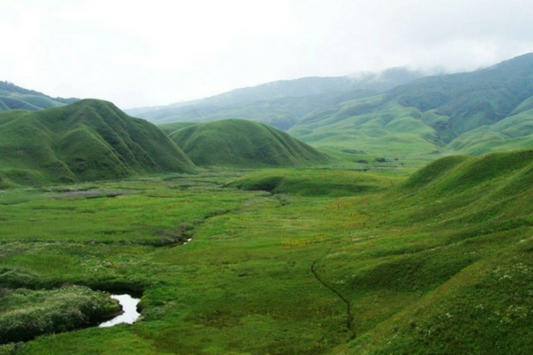 Dzukou Valley, Nagaland
