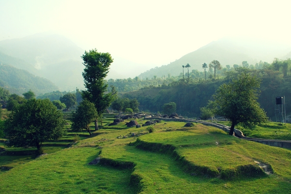 Palampur, North India