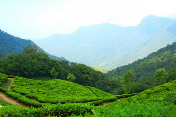 Ambalavayal, Wayanad