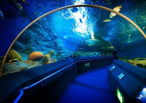 Underwater World Marine Park - Top 10 Things to do in Pattaya